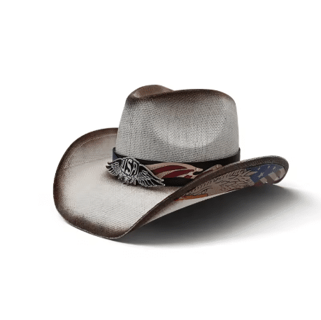 Chapeau cowboy USA (4)