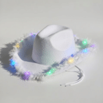 Chapeau lumineux (2)