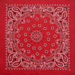 Bandana cowboy paisley 68×68 cm en coton (7)