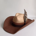 Chapeau cowboy bicolore avec plume (4)