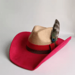 Chapeau cowboy bicolore avec plume (5)