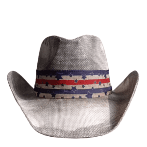 Chapeau cowboy blanc / gris bandeau étoiles