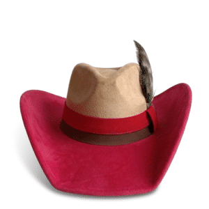 Chapeau cowboy femme bicolore avec plume