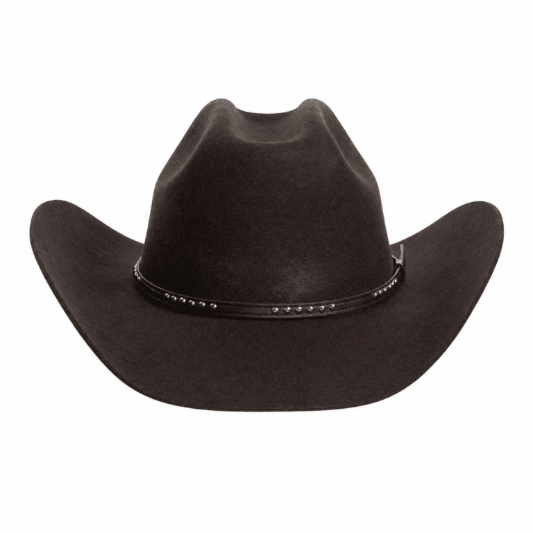 Chapeau cowboy marron en laine effet feutre bandeau clous (1)