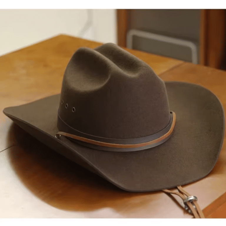 Chapeau cowboy feutre marron classique bandeau cuir (1)