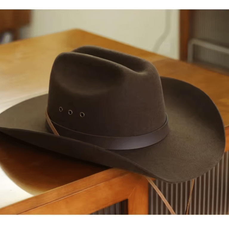 Chapeau cowboy feutre marron classique bandeau cuir (2)
