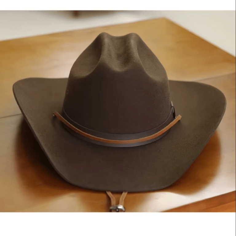 Chapeau cowboy feutre marron classique bandeau cuir (7)