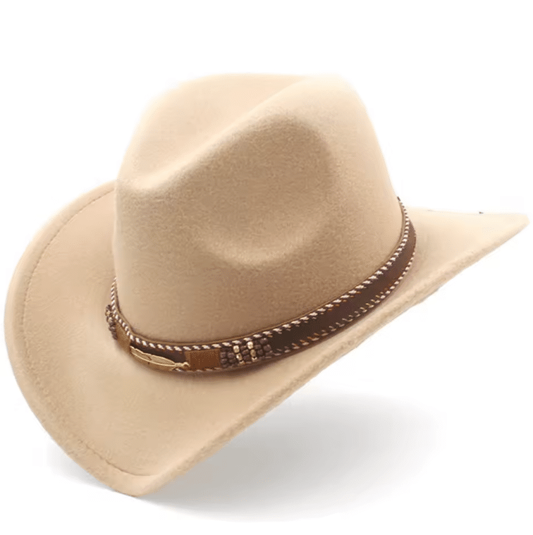 Chapeau cowboy homme feutre noir plume (4)