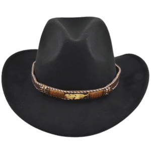Chapeau cowboy homme feutre noir plume