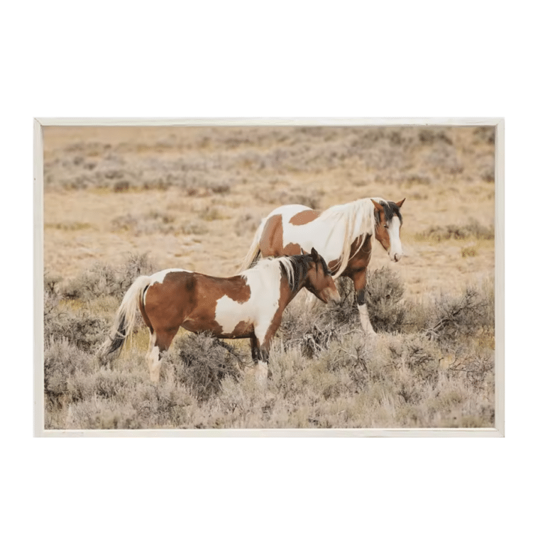 Impression murale duo de chevaux esprit ranch du Wyoming (2)