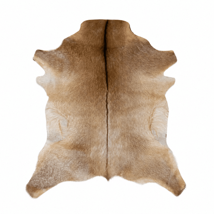 Tapis en peau de chèvre véritable et naturelle (2)