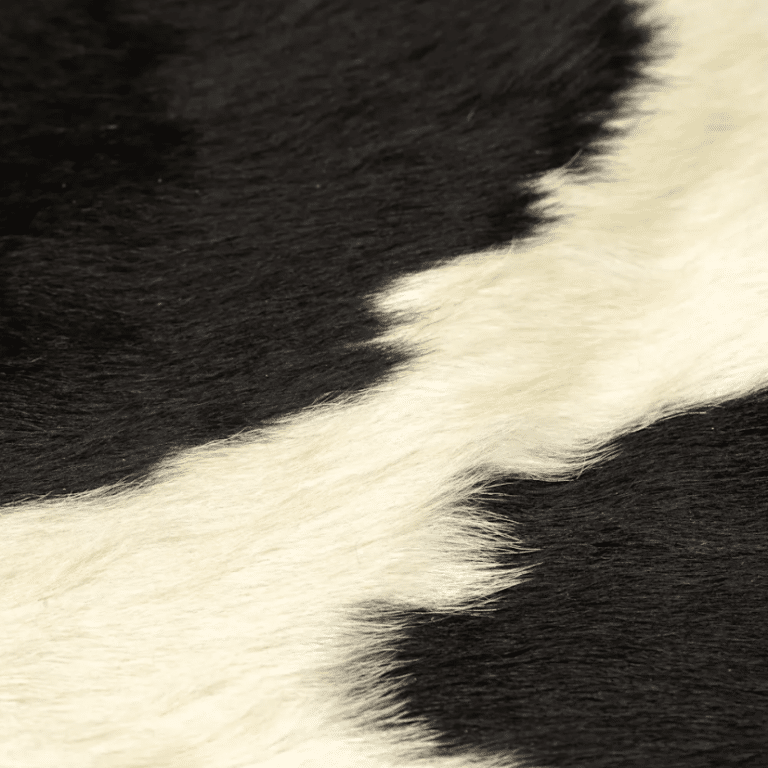 Tapis en peau de vache véritable et naturelle (4)