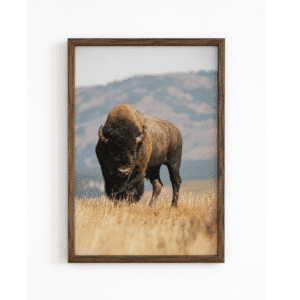 Toile Déco Bison Américain Style Western