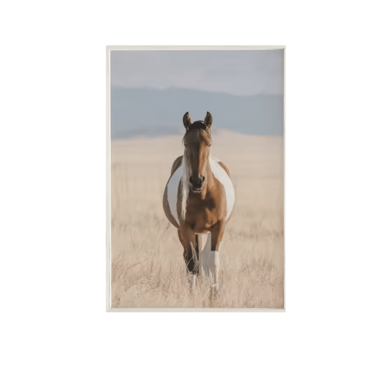 Toile cheval pie grand air américain esprit libre (2)