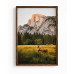 Toile déco cerfs grands espaces Américains (2)