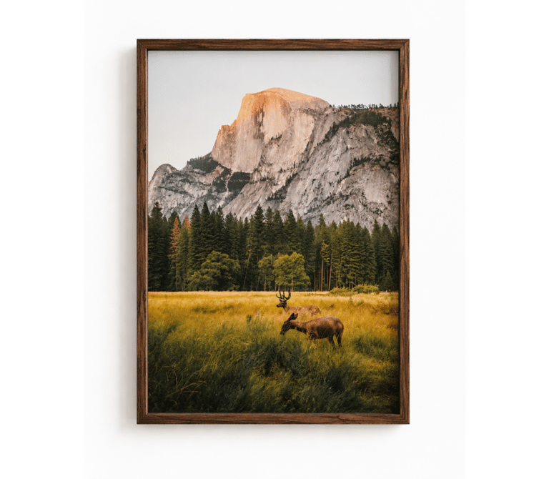Toile déco cerfs grands espaces Américains (2)