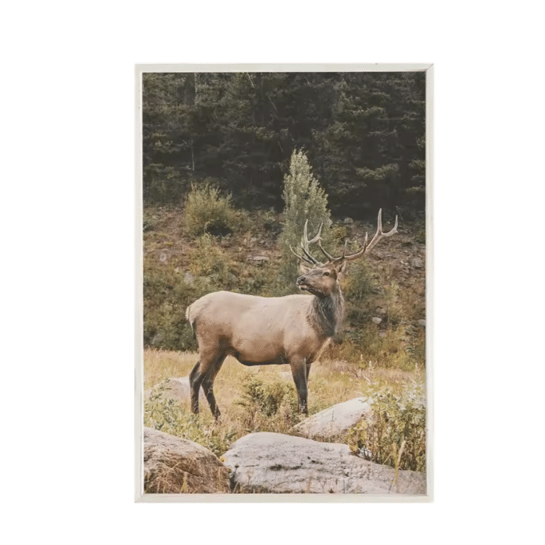 Toile décoration wapiti montagnes et sapin vert (1)