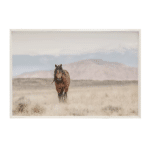 Toile photo étalon sauvage grand ouest (2)