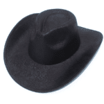 Chapeau cowboy noir imprimé reptile style western (1)