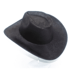Chapeau cowboy noir imprimé reptile style western (3)