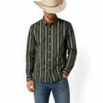 Chemise cowboy rayée verte vintage en coton (1)