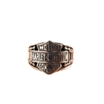 Bague Harley Davidson acier titane (4)