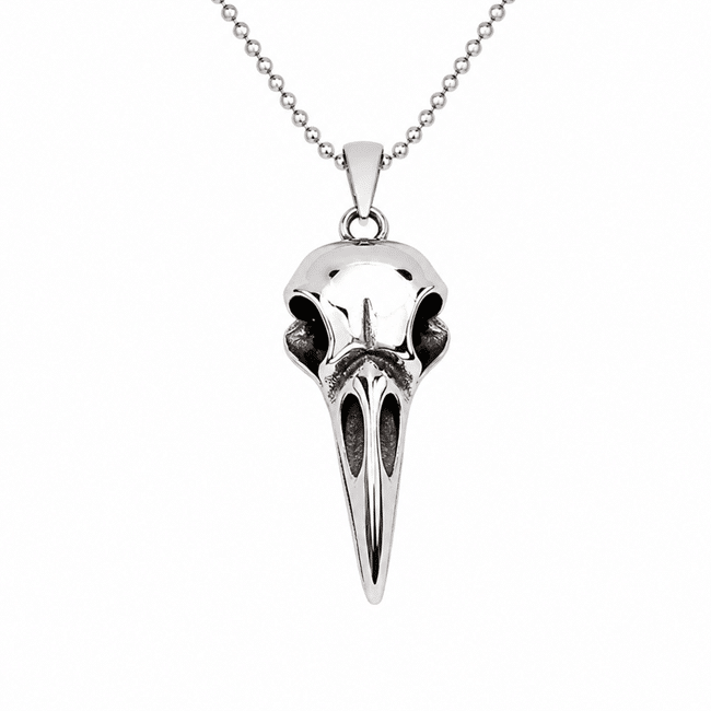 Collier western crâne d’oiseau à long bec argenté (4)