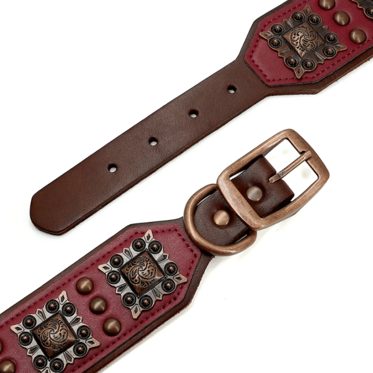 Collier cuir cowboy pour chien rouge large conchos et clous (3)